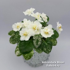 Adirondack Moon (S. Sorano)